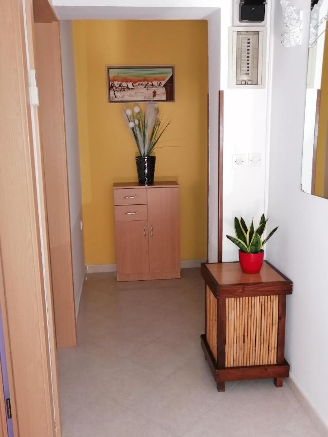 Apartman Bruna Novigrad  ภายนอก รูปภาพ
